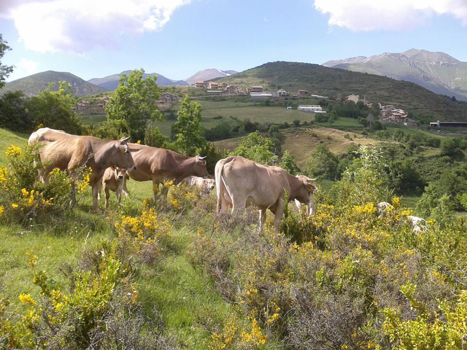 Turismo Rural Castell Neril Exteriér fotografie